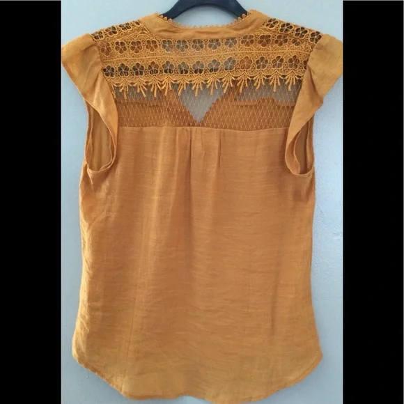 Gold Top - Picture 2 of 2